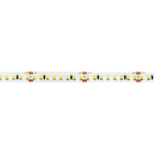 LINEA LIGHT (ILED) - ILDC0043NDI05000 RIBBON HE 24V 12W/M 160L 5M M 4000K