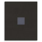 VIMAR SPA - VIW31000A.2DG TASTO 2M CON DIFFUSORE ASSIALE NERO