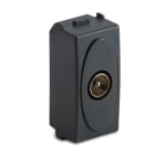 MASTER SRL - MST31265 MODO PRESA COAX IEC MASCHIO GRIGIO