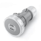 SCAME PARRE SPA - SCA318.32438 PRESA MOBILE 32A 2P+T 8h IP66/IP67/IP69