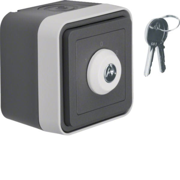 BERKER - BRK32723515 COMM.CHIAVE INGR.SEPAR.W1 GRI/GRIG OP