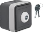 BERKER - BRK32723515 COMM.CHIAVE INGR.SEPAR.W1 GRI/GRIG OP