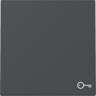 GIRA - GIR328728 IB SIM.PORTA SYSTEM 55 ANTRACITE