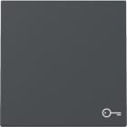 GIRA - GIR328728 IB SIM.PORTA SYSTEM 55 ANTRACITE