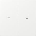 GIRA - GIR329470 INTER.BIL. 2-M FRECCIA GIRA F100 BNC PUR