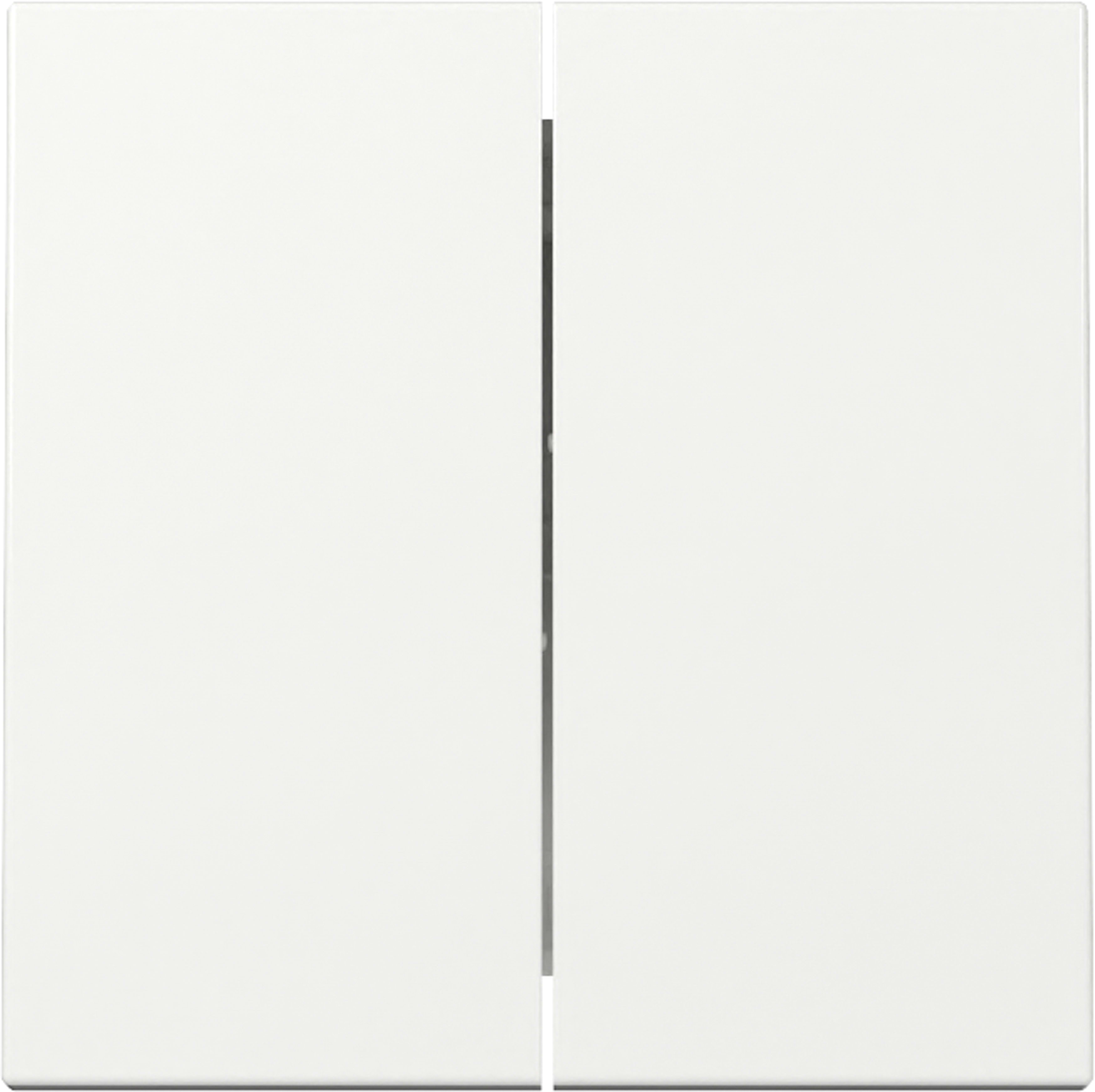 GIRA - GIR329503 INT.BIL.2-M SYSTEM 55 BNC PURO