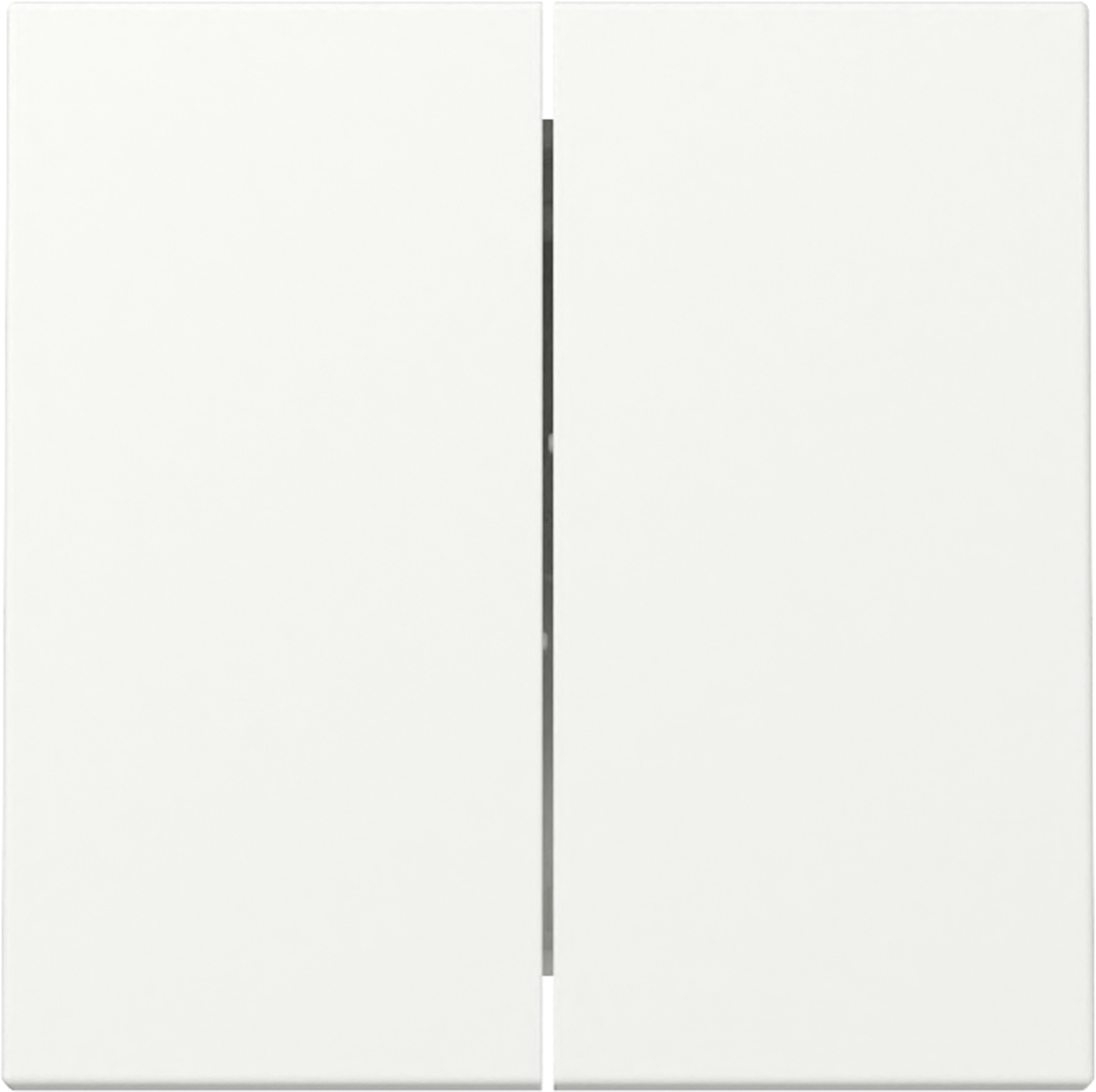 GIRA - GIR329527 INT.BIL.2-M SYSTEM 55 BNC PURO S