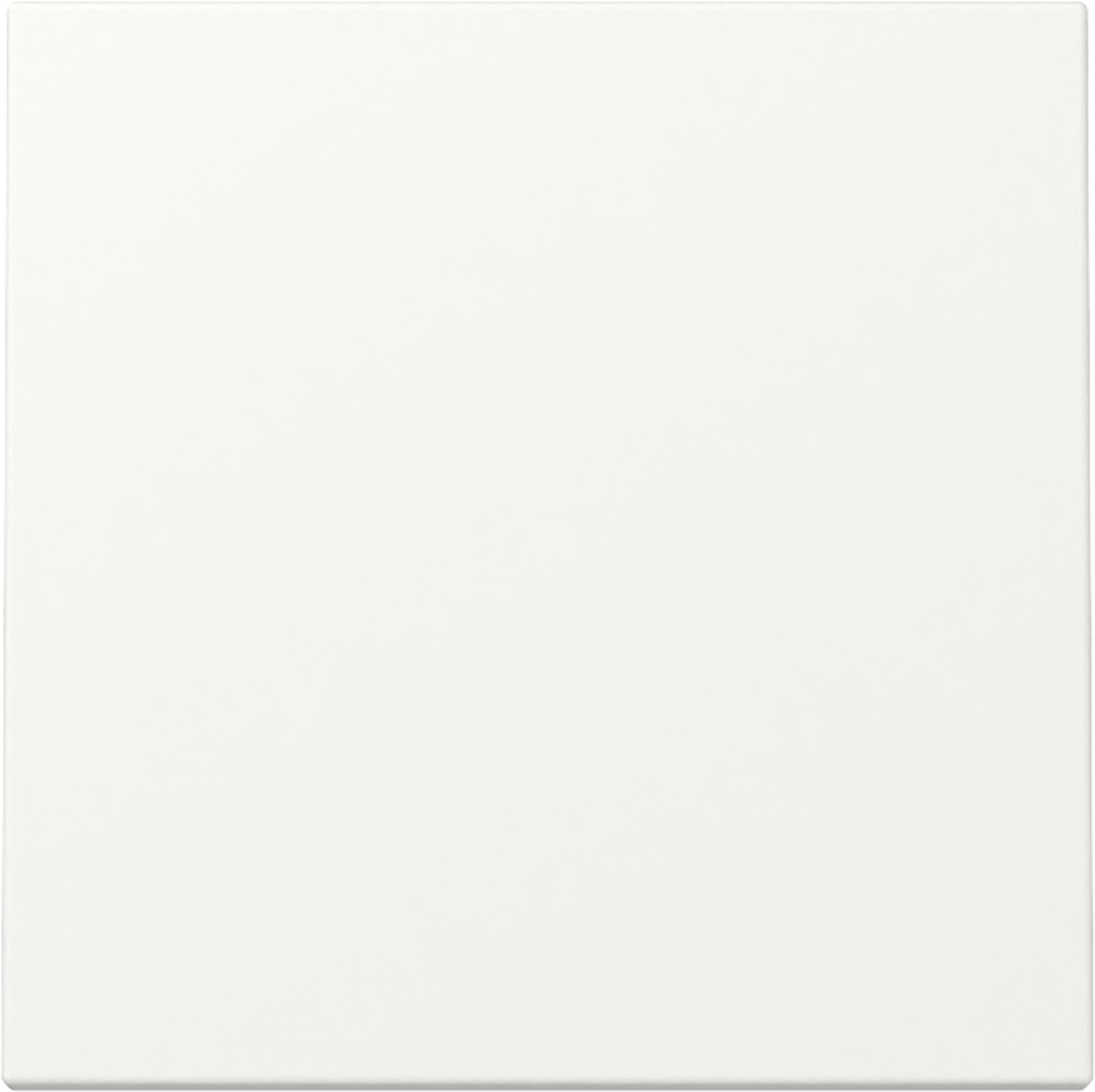 GIRA - GIR329627 INT.BIL. SYSTEM 55 BNC PURO S