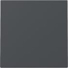 GIRA - GIR329628 INT.BIL. SYSTEM 55 ANTRACITE