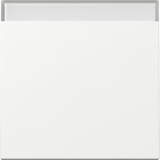 GIRA - GGI329903 INT.BIL. CT SYSTEM 55 BNC PURO