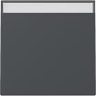 GIRA - GGI329928 INT.BIL. CT SYSTEM 55 ANTRACITE