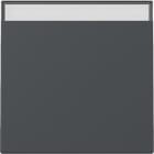 GIRA - GGI329928 INT.BIL. CT SYSTEM 55 ANTRACITE