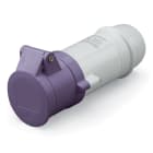 SCAME PARRE SPA - SCA330.1605 PRESA VOL. BASSISS. 2P 16A 24V