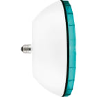 SIRENA - SIR35164 FEU LED 2.0 300 V110/240AC GR