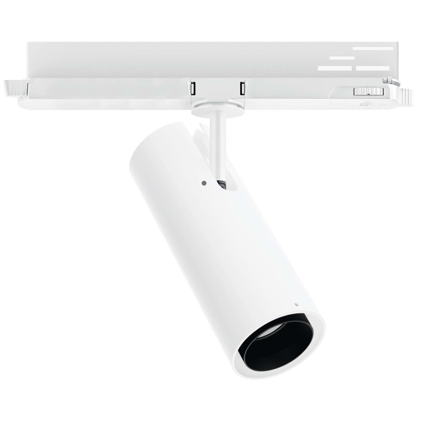 LINEA LIGHT (ILED) - ILD81810M60 POUND-2 DALI 2 1L 28W CRI98 FID.BG