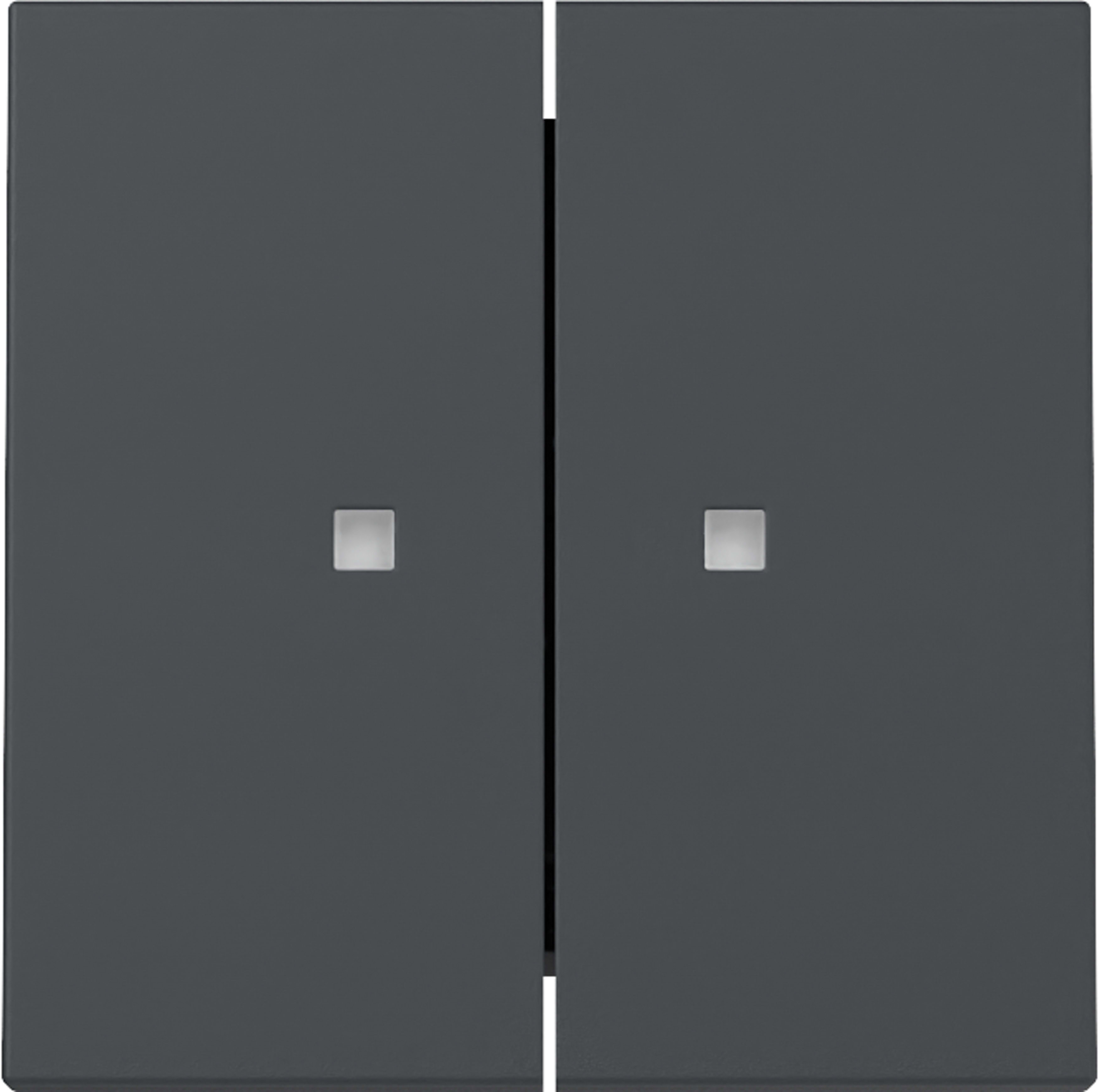 GIRA - GIR363128 BIL.2-M FIN.CTRL. SYSTEM 55 ANTRACITE