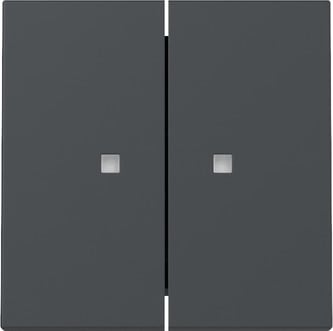 GIRA - GGI363128 BIL.2-M FIN.CTRL. SYSTEM 55 ANTRACITE