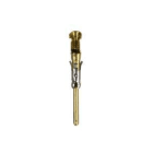 WIELAND ELECTRIC SRL - WIE05.544.1429.0 CONTATTO MASCHIO 0,75-1,5 QMM AU