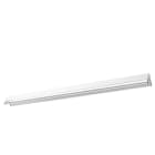3F FILIPPI - 3FF10924 3F MIRELLA WH DI 40+8 SP L1480