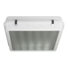 3F FILIPPI - 3FF56339 3F CUB LED 100W DALI CR VS