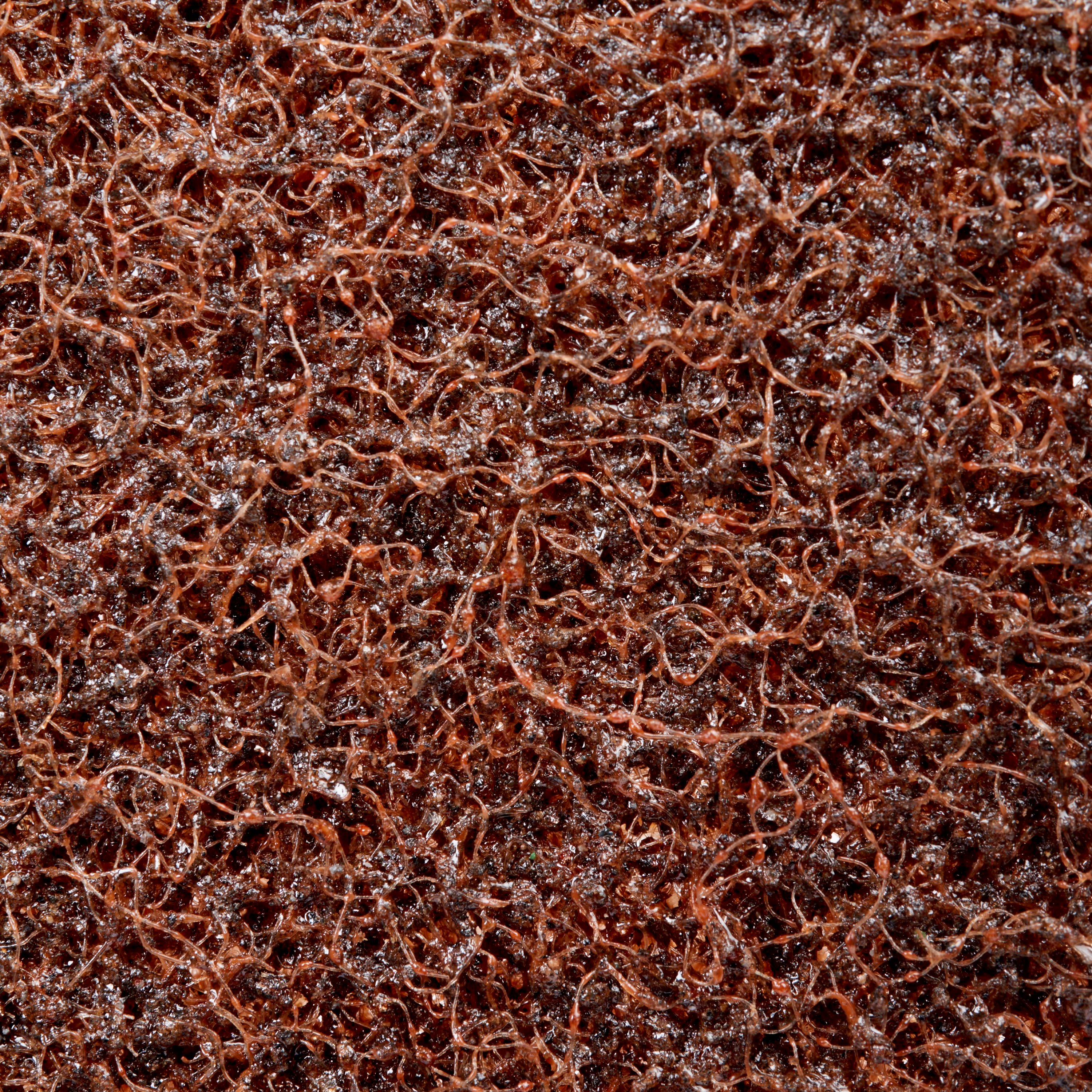 3M ITALIA - 3MF7100233606 DISCO PER IL CONDIZIONAMENTO DELLE SUPER