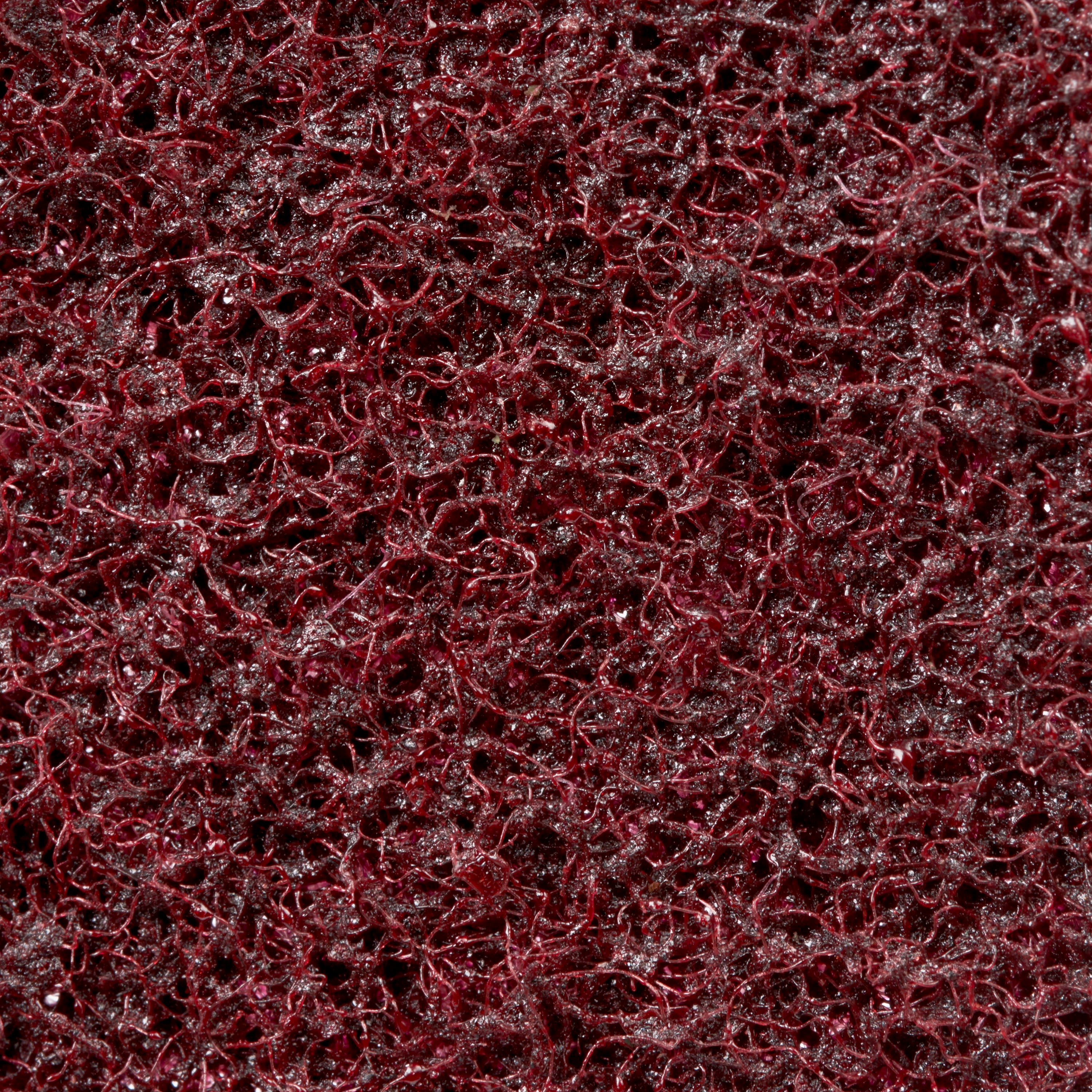 3M ITALIA - 3MF7100233804 DISCO PER IL CONDIZIONAMENTO DELLE SUPER