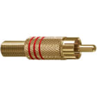 ELCART DISTRIBUTION - ERT040197500 SPINA RCA DORATA ANELLO NERO