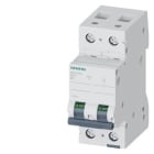 SIEMENS - SIE5SL42018 INT. MT 2P D1 ICN 10000A