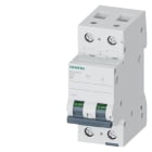 SIEMENS - SIE5SL42068 INT. MT 2P D6 ICN 10000A