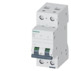 SIEMENS - SIE5SL42107 INT. MT 2P C10 ICN 10000A