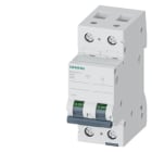 SIEMENS - SIE5SL42407 INT. MT 2P C40 ICN 10000A
