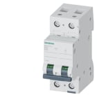 SIEMENS - SIE5SL42637 INT. MT 2P C63 ICN 10000A