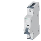 SIEMENS - SIE5SY41328 INT MT 1P D32 ICN 10KA ICU 20KA