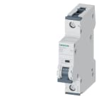 SIEMENS - SIE5SY51107 INT MT 10KA 15KA 1P C10 250VCC
