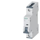 SIEMENS - SIE5SY51406 INT MT 10KA 15KA 1P B40 250VCC