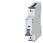 SIEMENS - SIE5SY51636 INT MT 10KA 15KA 1P B63 250VCC