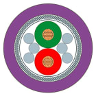 SIEMENS - SIE6XV18300PH10 PROFIBUS TORSION CABLE SOLD BY THE M