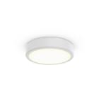 Philips - PBZ86388000 TCBRMS 19S/930 DIA OC WH401T102