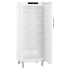 Liebherr - LIE993599351 Gastro-Gefrierschrank statisch 332L 12KA