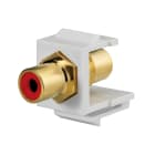 RUTENBECK - RUTN170 006 67 Keystone-Cinch gelb, schwarz