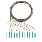 RUTENBECK - RUTN228 040 002 Q8Pigtails 12xLC OM3 2m