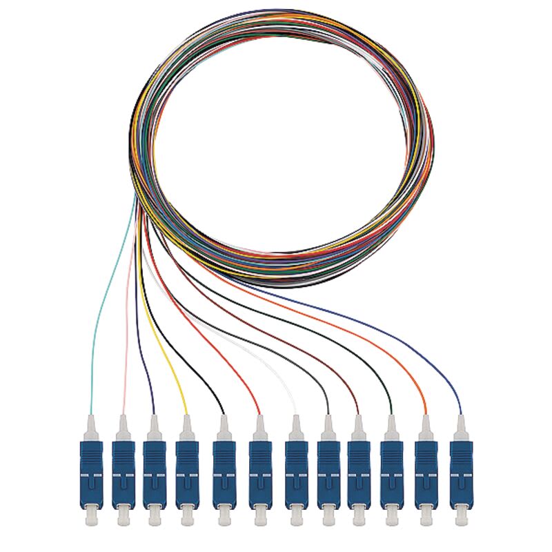 RUTENBECK - RUTN228 040 802 Q8Pigtails 12xSC OS2 2m
