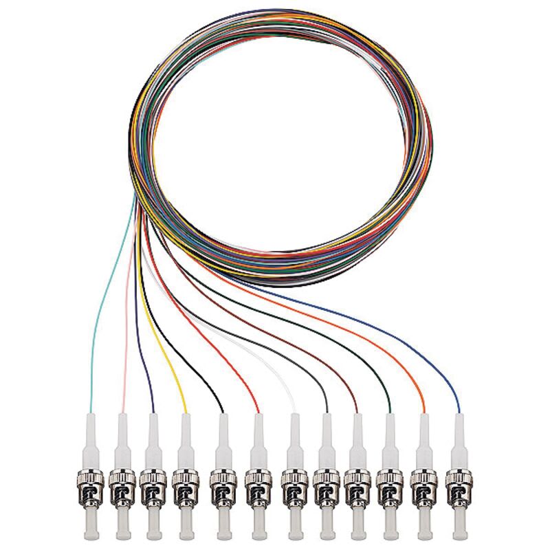 RUTENBECK - RUTN228 041 202 Q8Pigtails 12xST OS2 2m