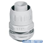 ELETTROCANALI - ETNECGX32-36 RAC. IP65 GUAINA-SCATOLA P. PG 36