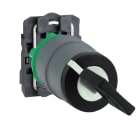 SCHNEIDER ELECTRIC - SNRXB5AG41C0 SELETT. A CHIAVE 2POS. 1NO GHIERA GRIGIA
