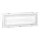 SCHNEIDER ELECTRIC - SNROVA47122 EXW TREND IP42 ACT 800 1/1,5/2/3H SE/SA