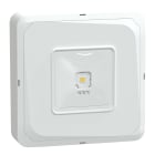 SCHNEIDER ELECTRIC - SNROVA48984 EXIWAY SMARTBEAM S. IP65 ACT/DIC 3H VIA
