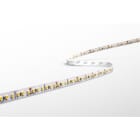 CENTURY ITALIA SRL - CUYAC95-0714440 STRIP LED ACCENTO PRO