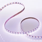 THREELINE ITALIA SRL - EHTST14R26VL0 STRIP 5M 14,4W/M IP20 RGB W 6000K