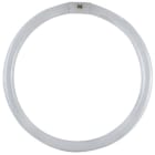 DURALAMP SPA - DRL4086T CIRCOLINA G10Q 40W 6500K TRIFOSFORO